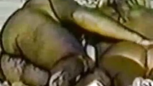 Nigga با فاحشه های پورن مامی سفید فانتزی عجله می کند