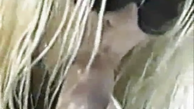 گربه کوچک سکس پورن باحال کاتکا چک
