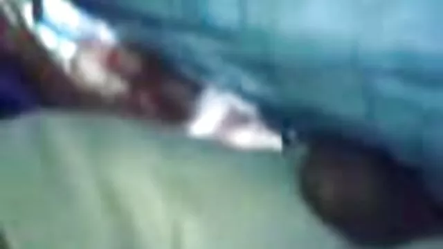 پرتاب چوب پورن مادر به سگهای جوان با بدنی شیک و ظریف